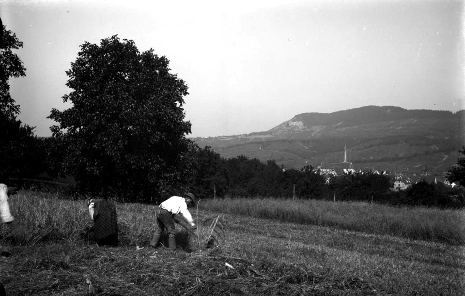 Dettingen C S Langbein HStAS J 317 Nr 4 Bild 10