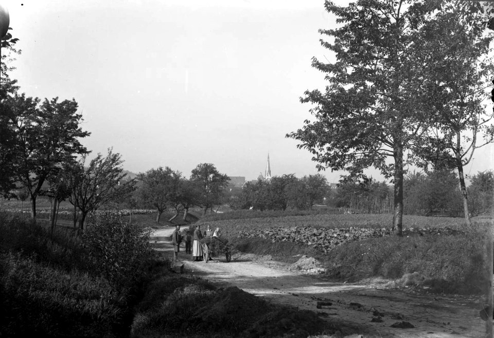 Dettingen C S Langbein HStAS J 317 Nr 5 Bild 4