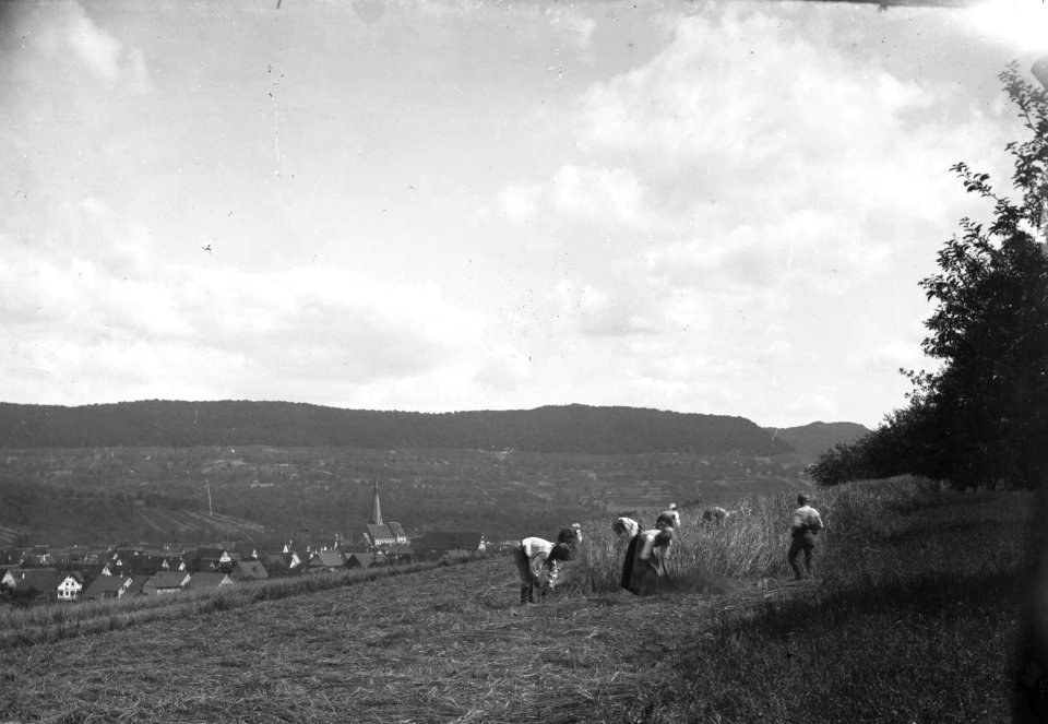Dettingen C S Langbein HStAS J 317 Nr 5 Bild 8