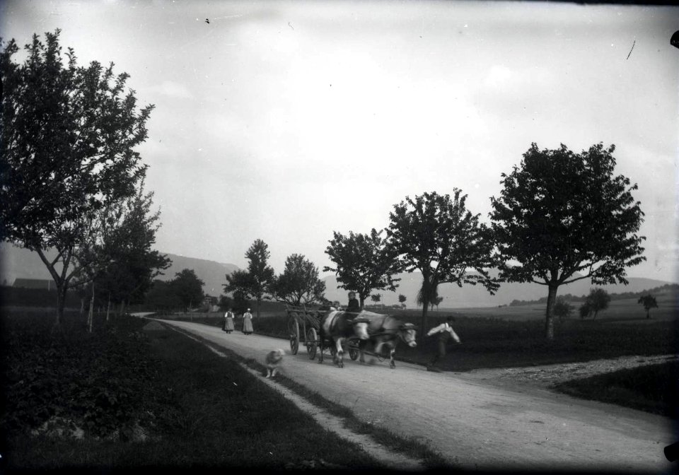 Dettingen C S Langbein HStAS J 317 Nr 5 Bild 3