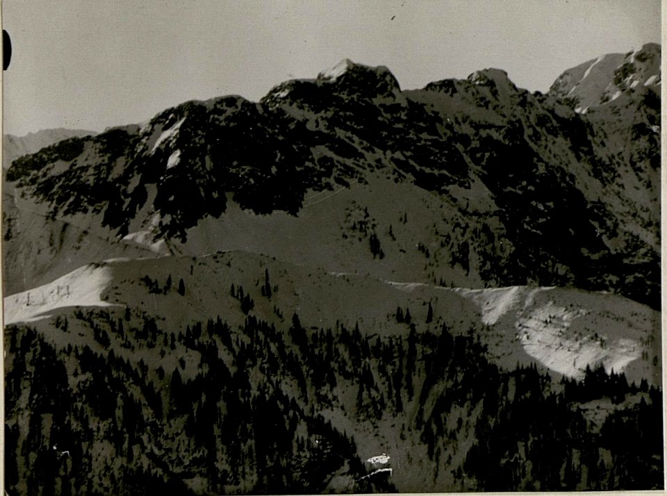 Deutsche Alm, Leopoldskirchner Alm, vom Gisnitz gesehen, IV. Teilbild (BildID 15518586)