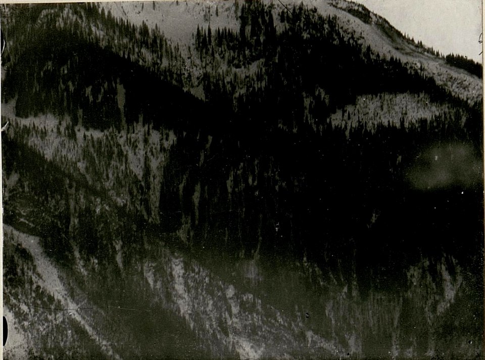 Deutsche Alm, Leopoldskirchner Alm, vom Gisnitz gesehen, I. Teilbild (BildID 15518621)