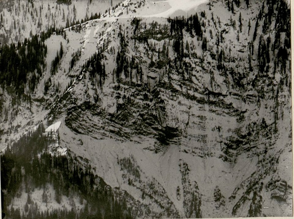 Deutsche Alm, Leopoldskirchner Alm, vom Gisnitz gesehen, III. Teilbild (BildID 15518635)