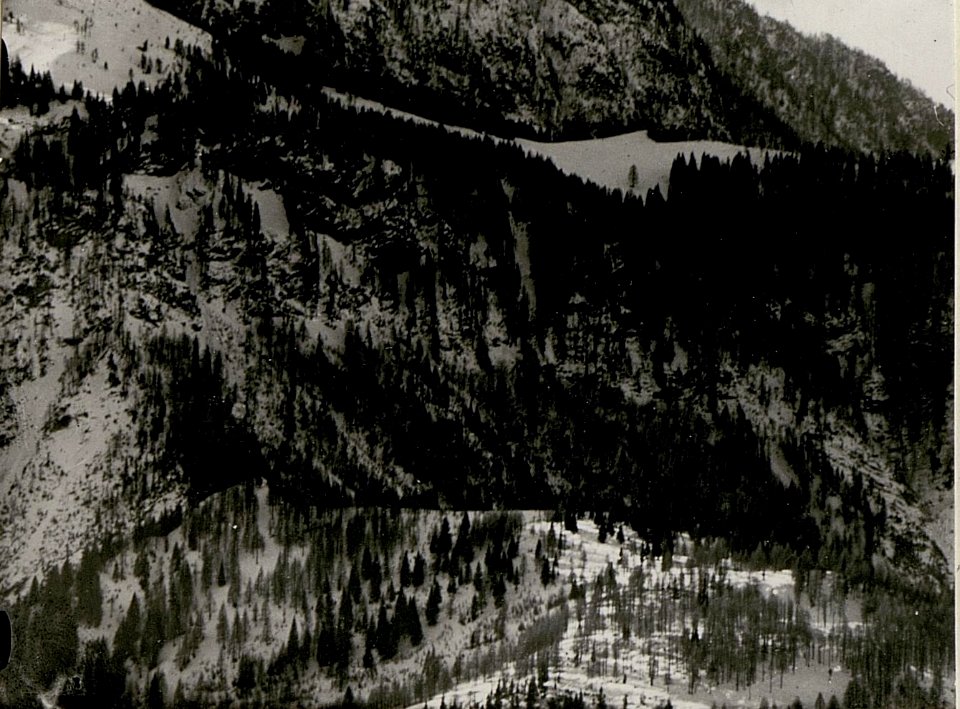 Deutsche Alm, Leopoldskirchner Alm, vom Gisnitz gesehen, V. Teilbild (BildID 15518649)