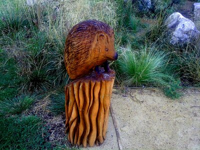 Craft wooden hedgehog playground