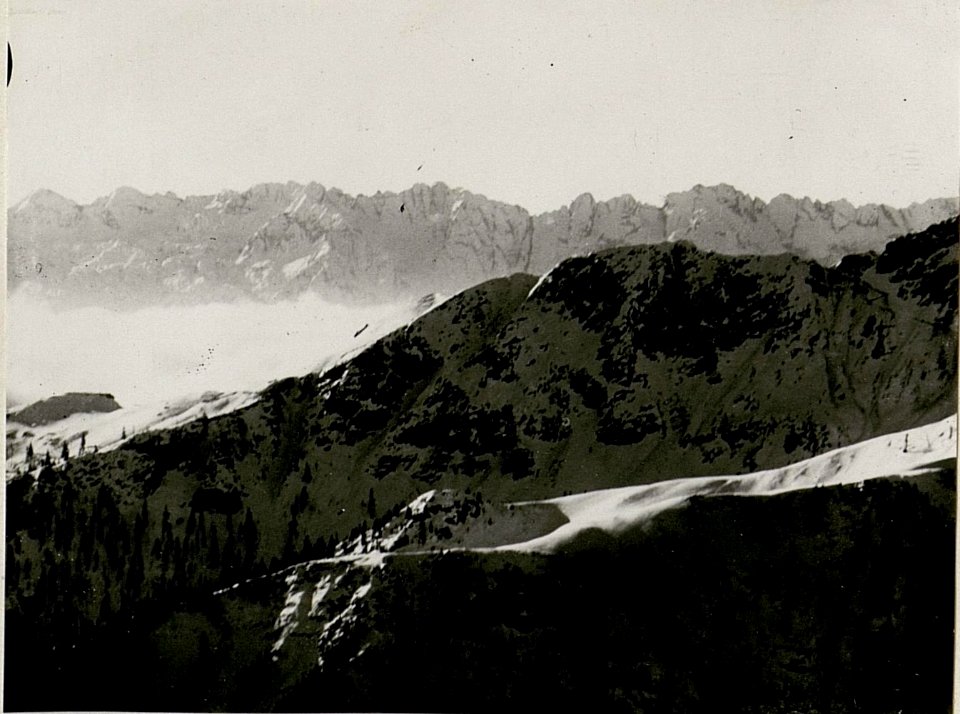Deutsche Alm, Leopoldskirchner Alm, vom Gisnitz gesehen, III. Teilbild (BildID 15518579)
