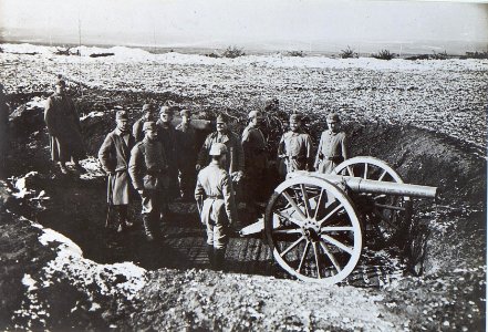 Deutsche Landsturm Batterie 523 in Stellung bei Rakowiec an der Strypa (BildID 15439293)