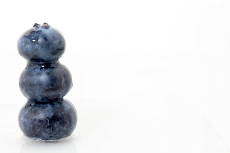 Blueberry food art