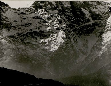 Deutsche Alm, Leopoldskirchner Alm, vom Gisnitz gesehen, VII. Teilbild (BildID 15518607)