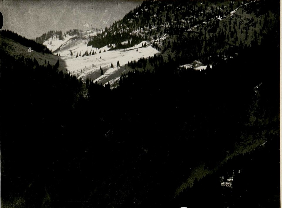 Deutsche Alm, Leopoldskirchner Alm, vom Gisnitz gesehen, II. Teilbild (BildID 15518628)