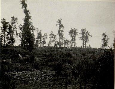 Deutsche Batterie 454 in Stellung, am 28.6.1916 (BildID 15542576)