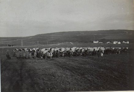 Deutsche Munitionskolonne 303 marschbereit, Blick auf die russische Stellung bei Zlota Lipa (BildID 15438509)