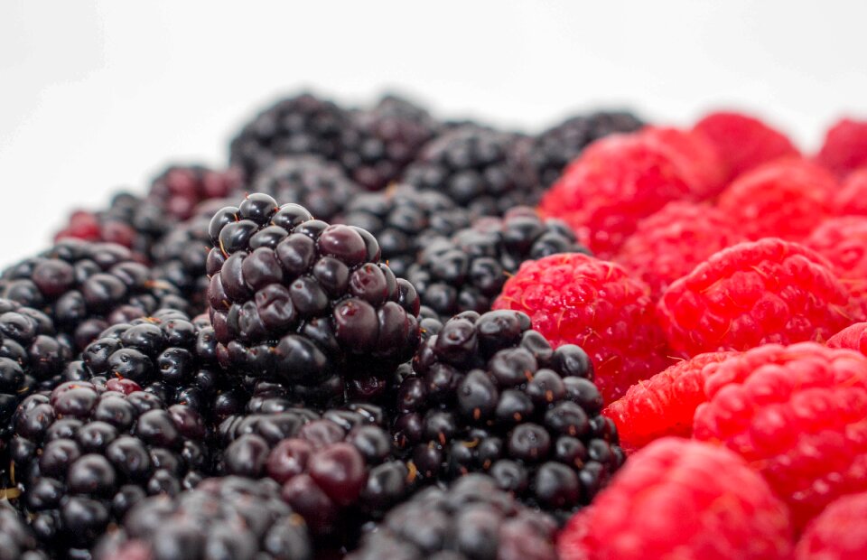 Berry fruit blueberry