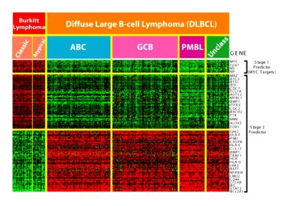 DNA-microarray analysis photo