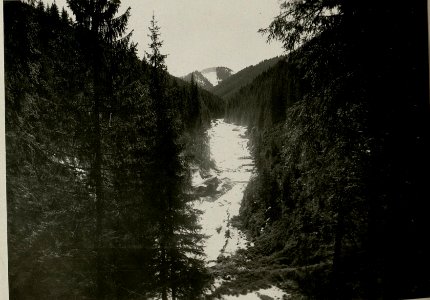 Dobrynertal (BildID 15717572)