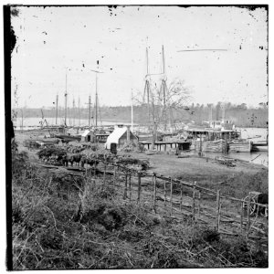 Docks with transports (Broadway Landing, Appomattox River, Virginia) LOC cwpb.01888
