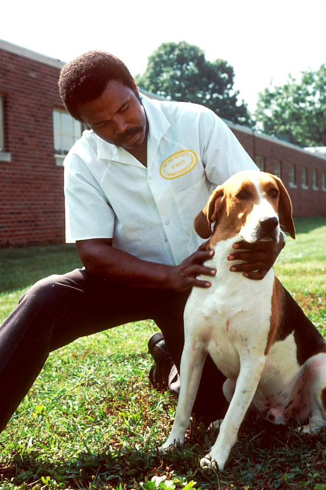 Dog and handler (1)