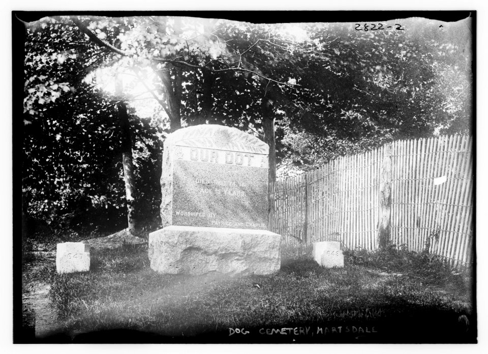 Dog cemetery - Hartsdale LCCN2014694180