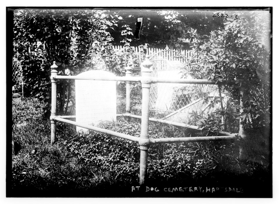 Dog cemetery - Hartsdale LCCN2014694181