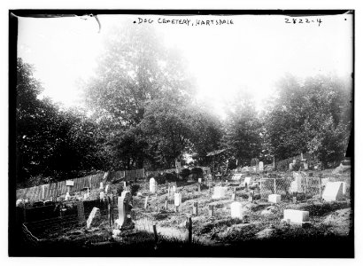 Dog cemetery - Hartsdale LCCN2014694182