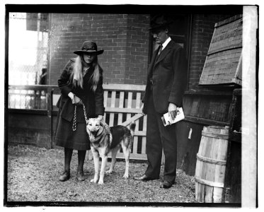 Dog show, 1920; Franklin D. Roosevelt & daughter, 5-8-20 LCCN2016827922