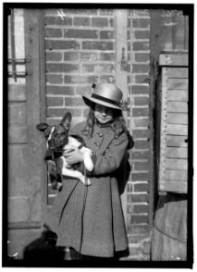 DOG SHOW. MISS ROCHESTER LCCN2016866272 photo