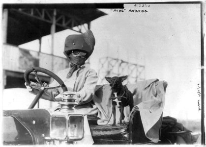 Dogs - motoring LCCN2003677476