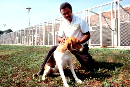 Dog and handler photo