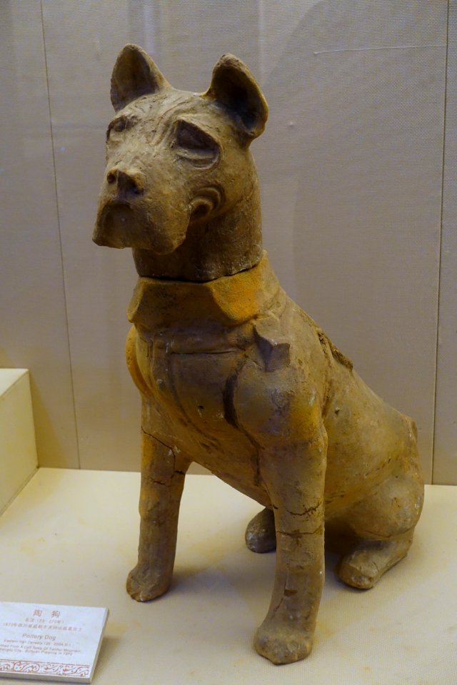 Dog, China, unearthed from a cliff tomb, Tianhui Mountain, Chengdu City, Eastern Han dynasty, 25-220 AD, ceramic - Sichuan Provincial Museum - Chengdu, China - DSC04776