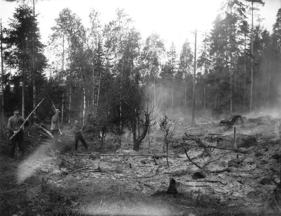 Dokumentation av jordbruk, här svedjelandsbränning i Slobyn i Värmland - Nordiska museet - NMA.0063685