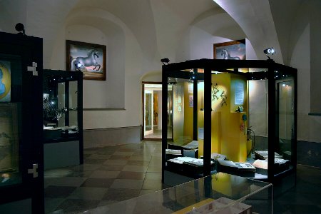 Dokumentation Ridkonst - Skoklosters slott - 85775