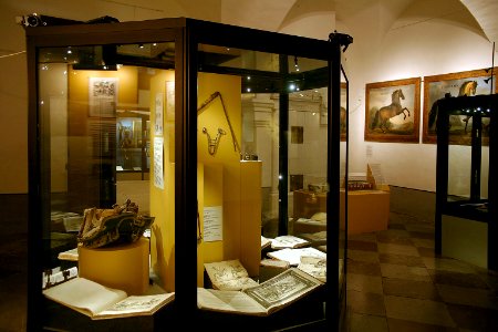 Dokumentation Ridkonst - Skoklosters slott - 85782
