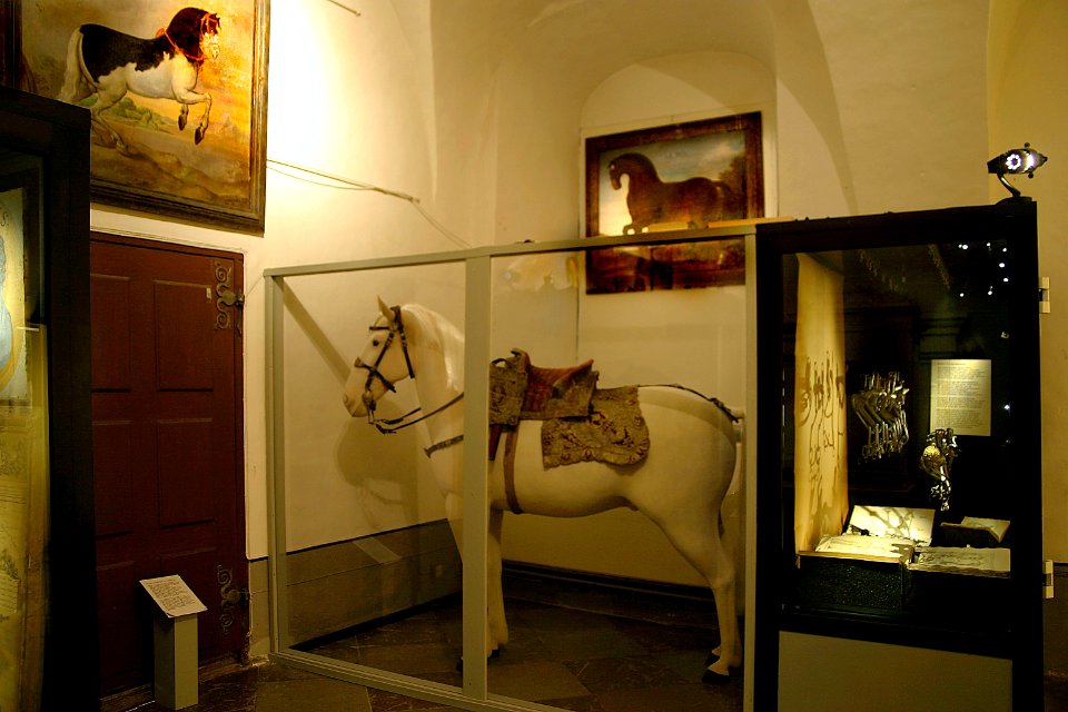 Dokumentation Ridkonst - Skoklosters slott - 85777