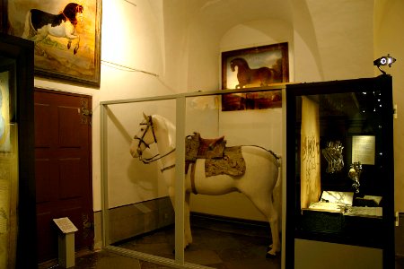 Dokumentation Ridkonst - Skoklosters slott - 85777