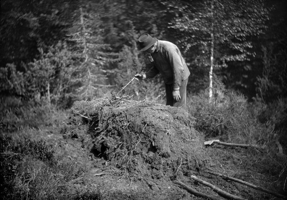 Dokumentation av arbete med kolning i Bogens kapellförsamling i Värmland - Nordiska museet - NMA.0063681