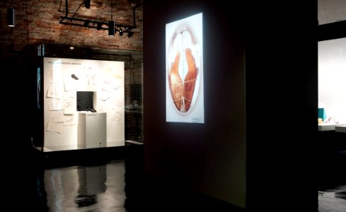 Dokumentation, utställning, Skor ger mer, år 2007 - Livrustkammaren - 7923