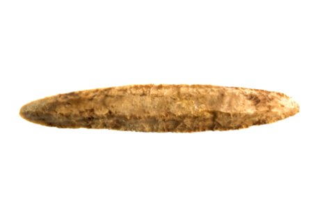 Dolk in silex, 3000 tot 1800 VC, vindplaats- Meeuwen, In den Damp, grafheuvel, collectie Gallo-Romeins Museum Tongeren, 1994.5.1