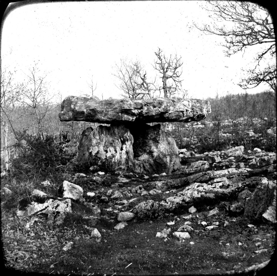Dolmen de Cap del Pouech