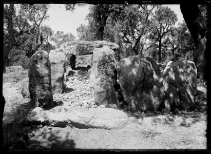 Dolmen de la Cova d'en Daina, a Santa Cristina d'Aro