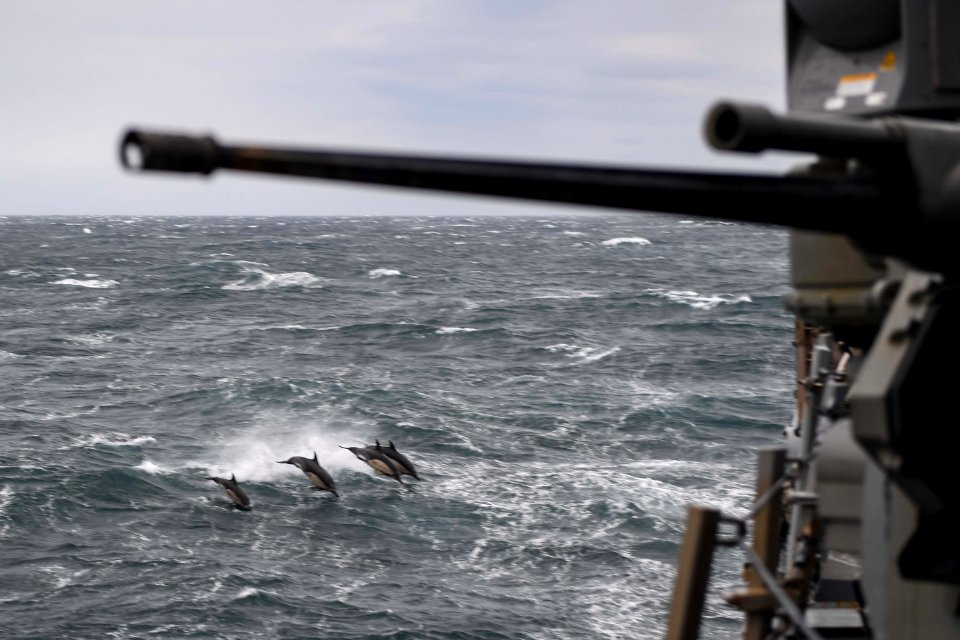 Dolphins alongside USS Donald Cook (DDG-75) 171016-N-FP878-022