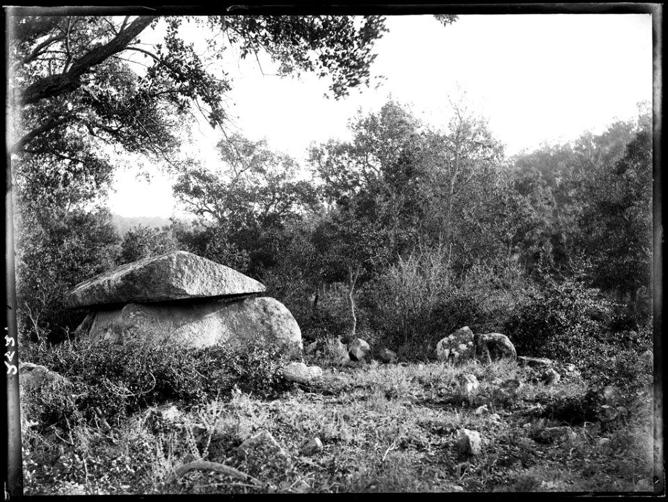 Dolmen de la pedra nova d'Agullana