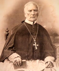 Dom Antônio Ferreira Viçoso