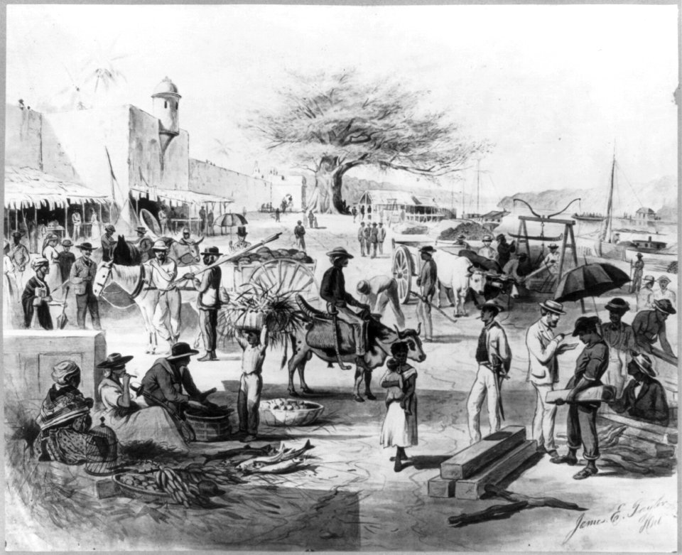 Dominican Republic, 1871)- The embarkadero, or wharf of Santo Domingo City, showing the Columbus Tree in the background LCCN2003655463