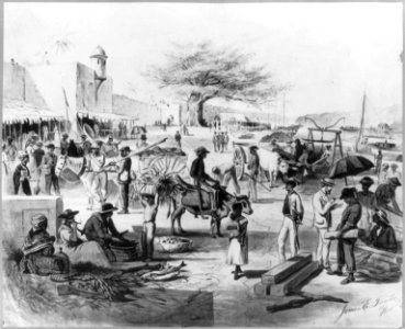 Dominican Republic, 1871)- The embarkadero, or wharf of Santo Domingo City, showing the Columbus Tree in the background LCCN2003655463 photo