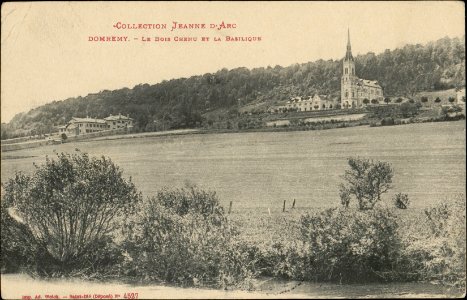 Domrémy, Le Bois chenu et la Basilique CP 5484 PR