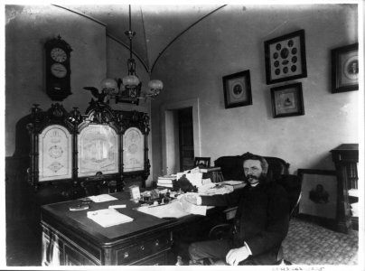 Don M. Dickson - Postmaster General, 1887-1889 LCCN2001703906
