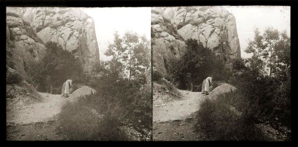 Dona collint plantes al camí de la cova de Montserrat
