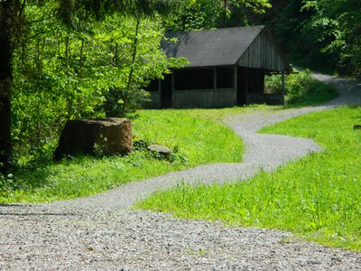 Scale nature meadow photo