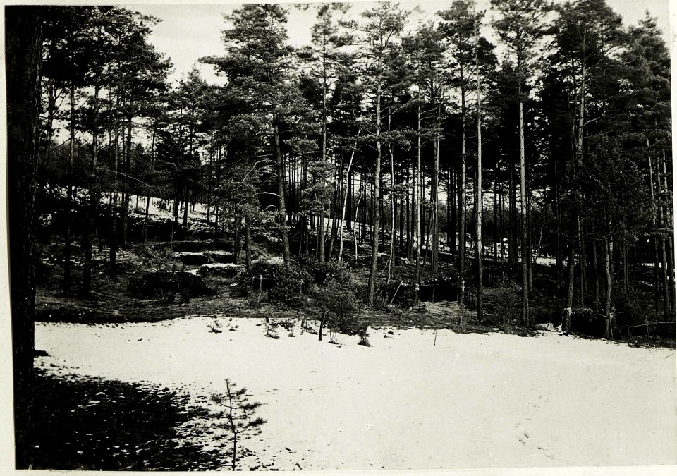 Deutsche Unterstände im Wald bei Bytom. (BildID 15592070)