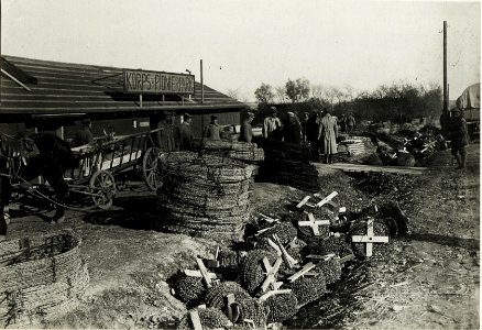 Deutscher Korpspionierpark bei Jezierna. (BildID 15432847)